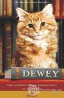 Dewey Dünyanın Kalbine Dokunan Kütüphane Kedisi