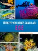 Ege - Türkiye'nin Deniz Canlıları (Ciltli)