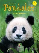 İlk Okuma - Pandalar