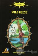 Wild Geese - Stage 1