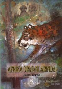 Afrika Ormanlarında