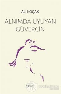 Alnımda Uyuyan Güvercin