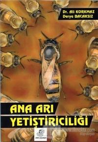 Ana Arı Yetiştiriciliği