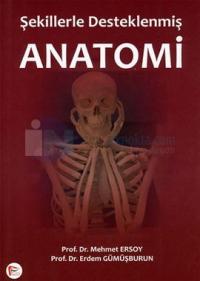 Anatomi Şekillerle Desteklenmiş
