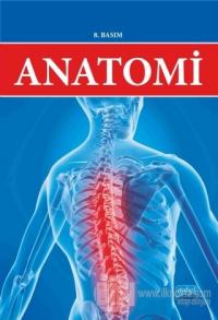 Anatomi