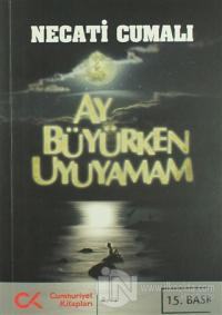 Ay Büyürken Uyuyamam