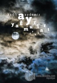 Ay Yağmurları