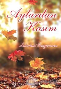 Aylardan Kasım