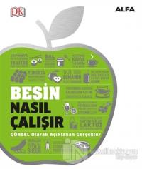 Besin Nasıl Çalışır (Ciltli)