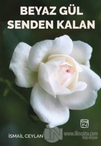 Beyaz Gül Senden Kalan