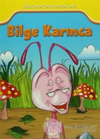 Bilge Karınca