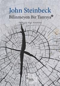 Bilinmeyen Bir Tanrıya