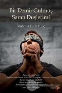 Bir Demir Gülmüş Saran Düşlerimi