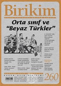 Birikim Aylık Edebiyat Kültür Dergisi Sayı: 260