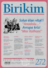 Birikim Aylık Edebiyat Kültür Dergisi Sayı: 272