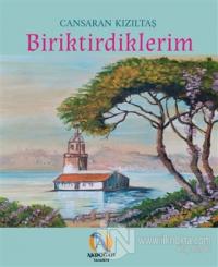 Biriktirdiklerim
