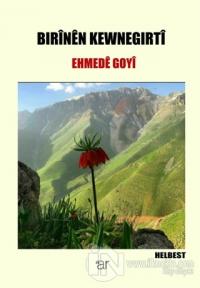 Bırinen Kewnegırti