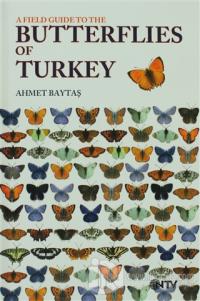 Butterflies of Turkey