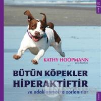 Bütün Köpekler Hiperaktiftir ve Odaklanmakta Zorlanırlar