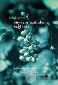 Büyüyor Üzümler Bağlarda