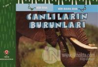 Canlıların Burunları - Bir Bak Bir Daha Bak