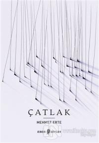 Çatlak