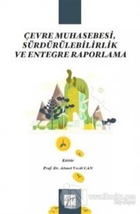 Çevre Muhasebesi, Sürdürülebilirlik ve Entegre Raporlama
