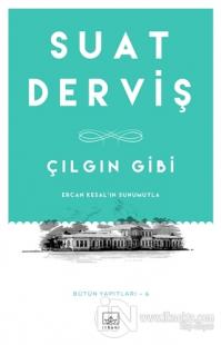 Çılgın Gibi