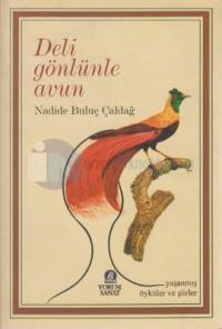 Deli Gönlünle Avun