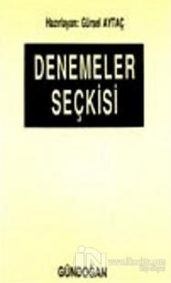 Denemeler Seçkisi (Almanca Edebiyatlardan)