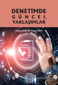 Denetimde Güncel Yaklaşımlar
