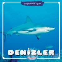 Denizler - Hayvanlar Dünyası