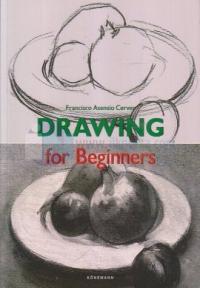 Drawing For Beginners Francisco Asensio Cerver
