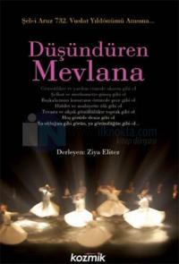 Düşündüren Mevlana