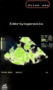 Embriyogenesis