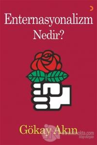 Enternasyonalizm Nedir?