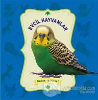Evcil Hayvanlar - Dokun ve Hisset