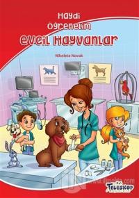 Evcil Hayvanlar – Haydi Öğrenelim