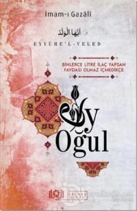 Ey Oğul