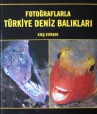 Fotoğraflarla Türkiye Deniz Balıkları %10 indirimli Ateş Evirgen
