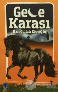 Gece Karası