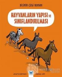 Hayvanların Yapısı ve Sınıflandırılması