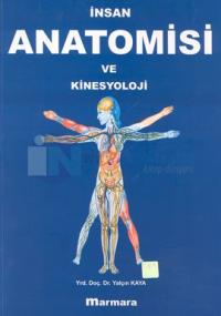 İnsan Anatomisi ve Kinesyoloji