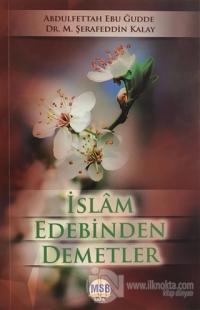 İslam Edebinden Demetler
