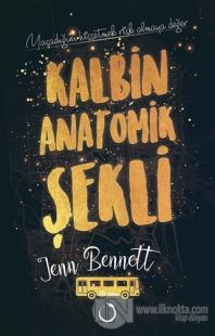 Kalbin Anatomik Şekli