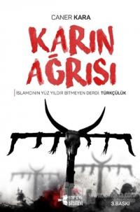 Karın Ağrısı