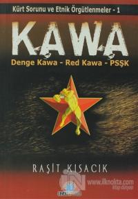 KAWA: Kürt Sorunu ve Etnik Örgütlenmeler 1