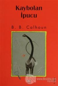 Kaybolan İpucu