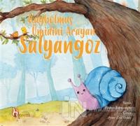 Kaybolmuş Ümidini Arayan Salyangoz