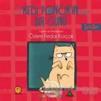Şekiller - Kedi Ponçik'in Bir Günü